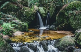 Hučiace vody rokliny Ysperklamm., © Niederösterreich Werbung/ Julia Sallaberger