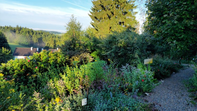 Herb garden Bad Traunstein, &copy; Marktgemeinde Bad Traunstein