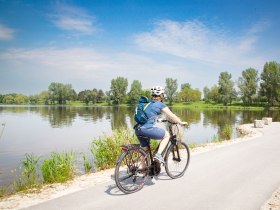 Radfahrer am Donauradweg in Altenw&ouml;rth, &copy; Donau Nieder&ouml;sterreich Tourismus GmbH