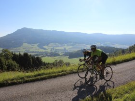 Yspertaler H&ouml;henstra&szlig;e, &copy; Gemeinde Yspertal