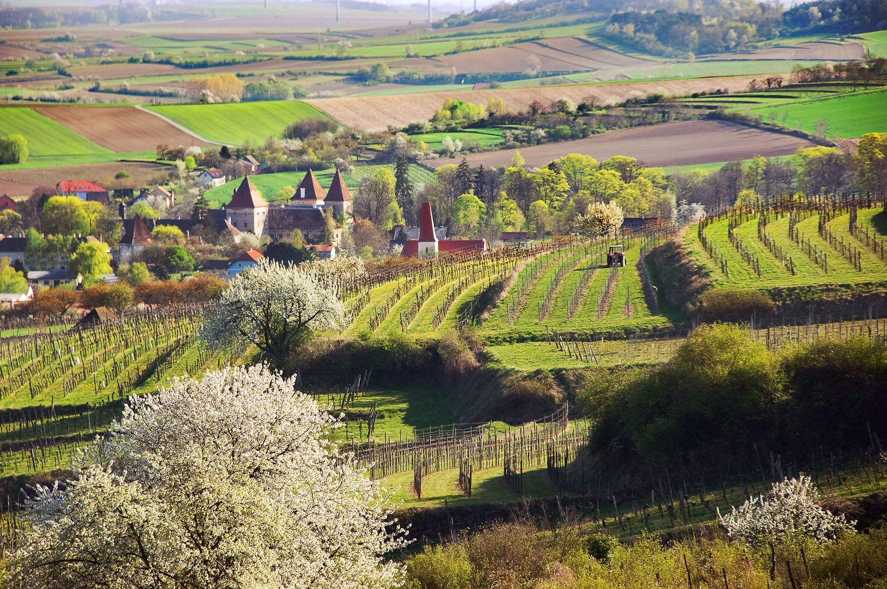 Krajina s vinicami, kvitnúcimi stromami a dedinou v pozadí.