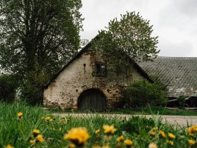 Lebensweg, Wandern, Weitwandern, &copy; Waldviertel Tourismus, Melanie T&ouml;bbe