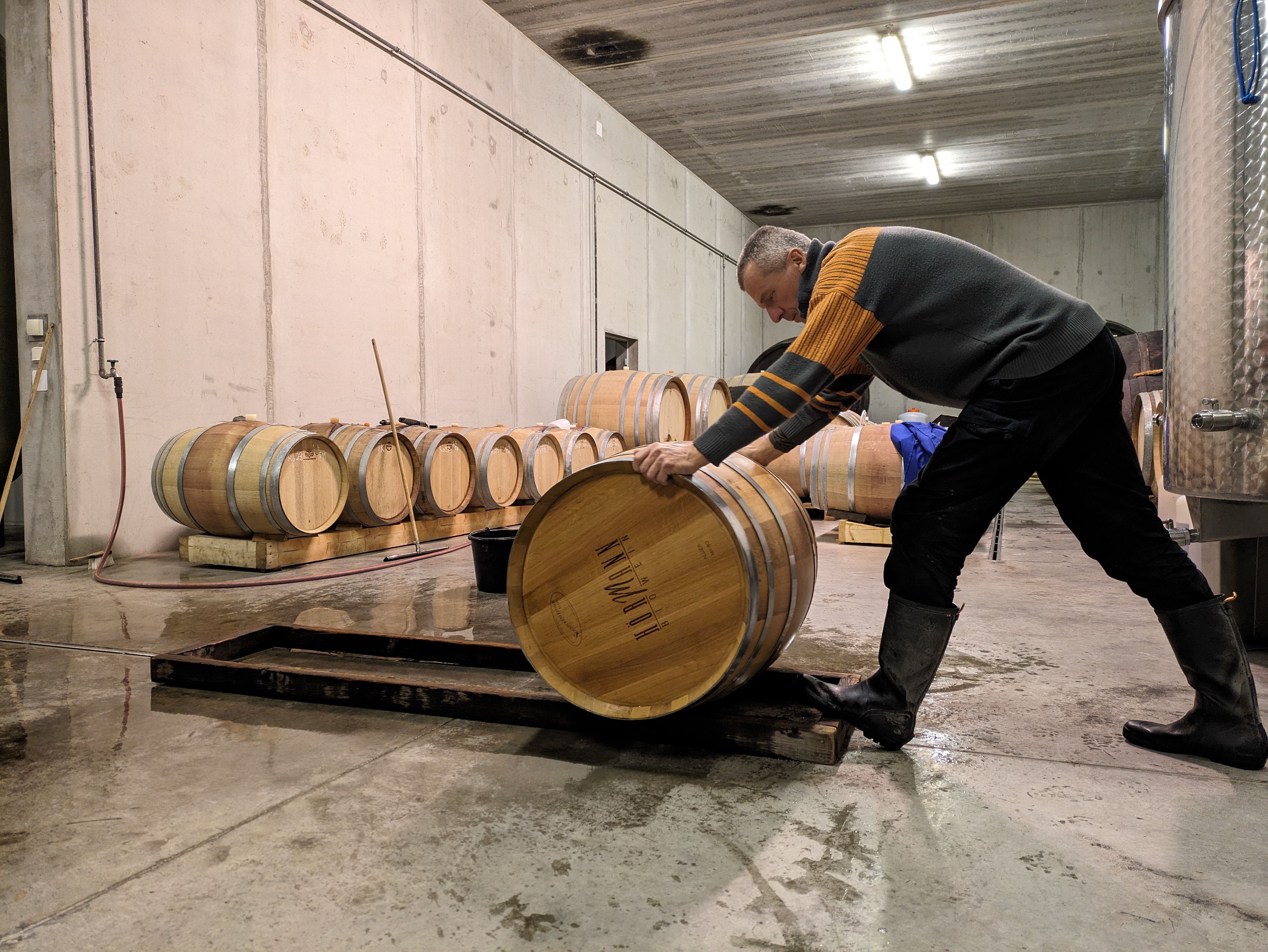 Osoba valí drevený sud vo vínnej pivnici.