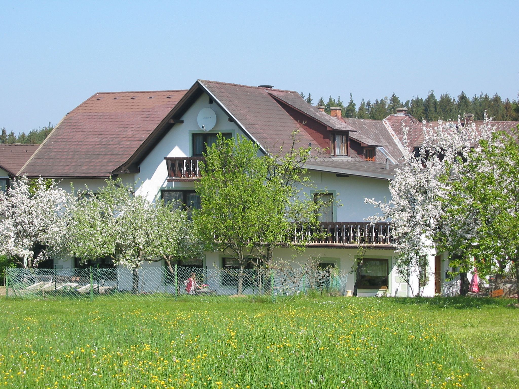 Biely dom s hnedou strechou, obklopený kvitnúcimi stromami a zelenou lúkou.