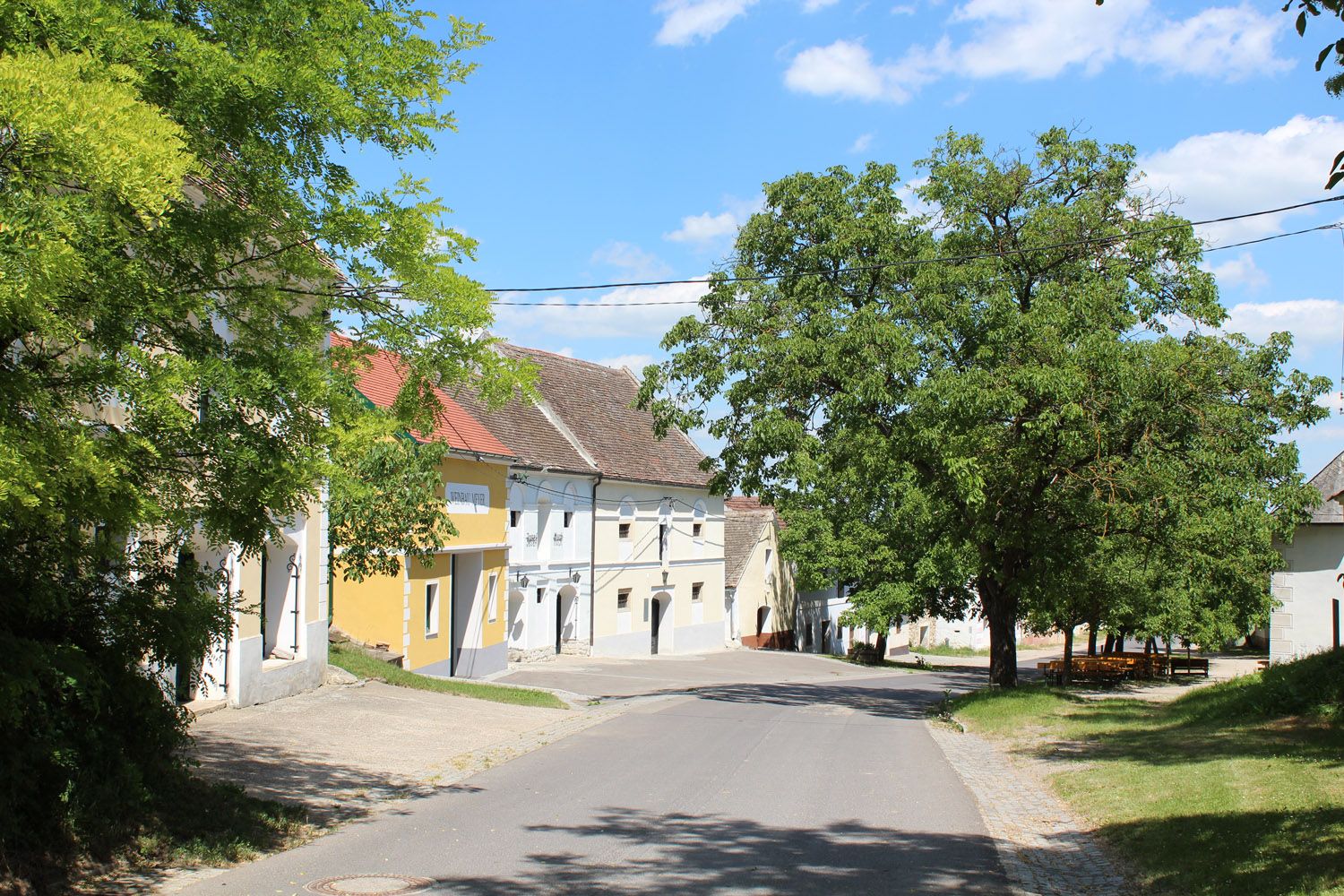 Tichá ulica v štvrti Vínne uličky Straning so stromami a tradičnými budovami.