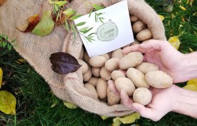Green organic farm, &copy; Gr&uuml;ner Biohof