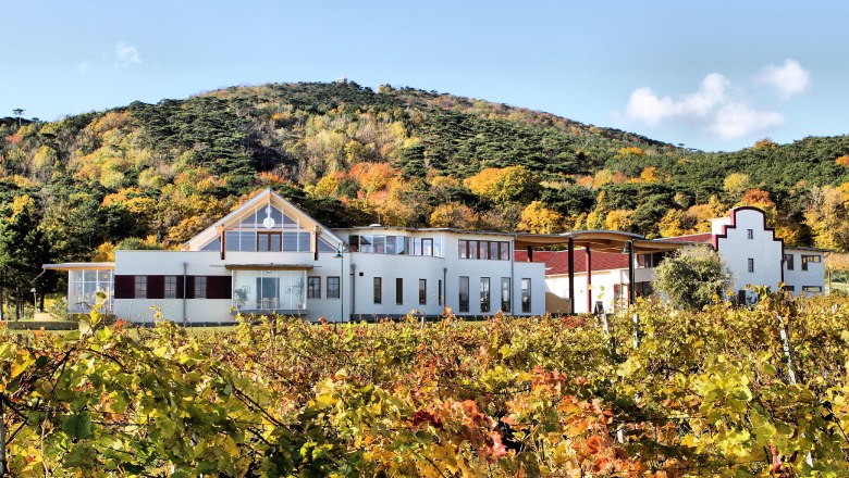 Autumn time at the Schlossberg winery, &copy; Weingut Schlossberg
