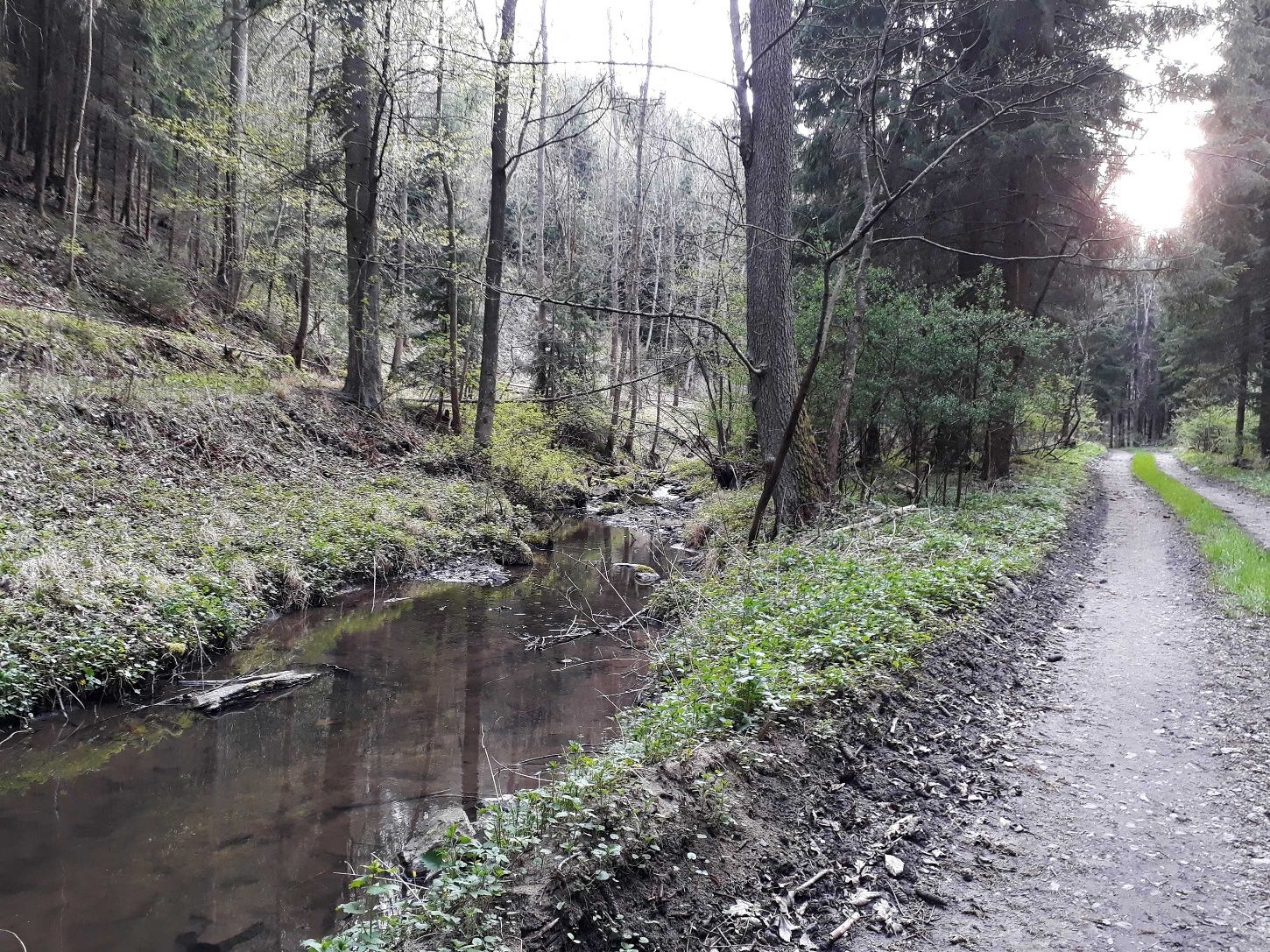 Gaberbachova ulica
