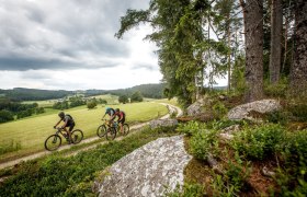 Žulov&yacute; chodn&iacute;k, &copy; Waldviertel Tourismus, Erwin Haiden