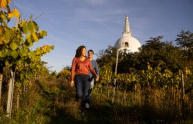P&aacute;r prech&aacute;dzaj&uacute;ci sa po viniciach, v pozad&iacute; stupa