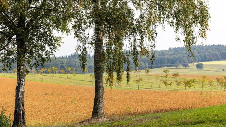 NUSSLAND, orechovn&iacute;ky, ktor&eacute; zu&scaron;ľachťuj&uacute;, &copy; Theo Kust
