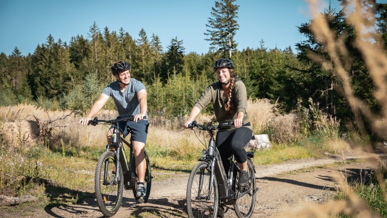 Forest path, &copy; Matthias Ledwinka