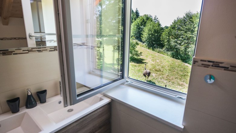 pohľad na k&uacute;peľňu, &copy; Otto Brandl