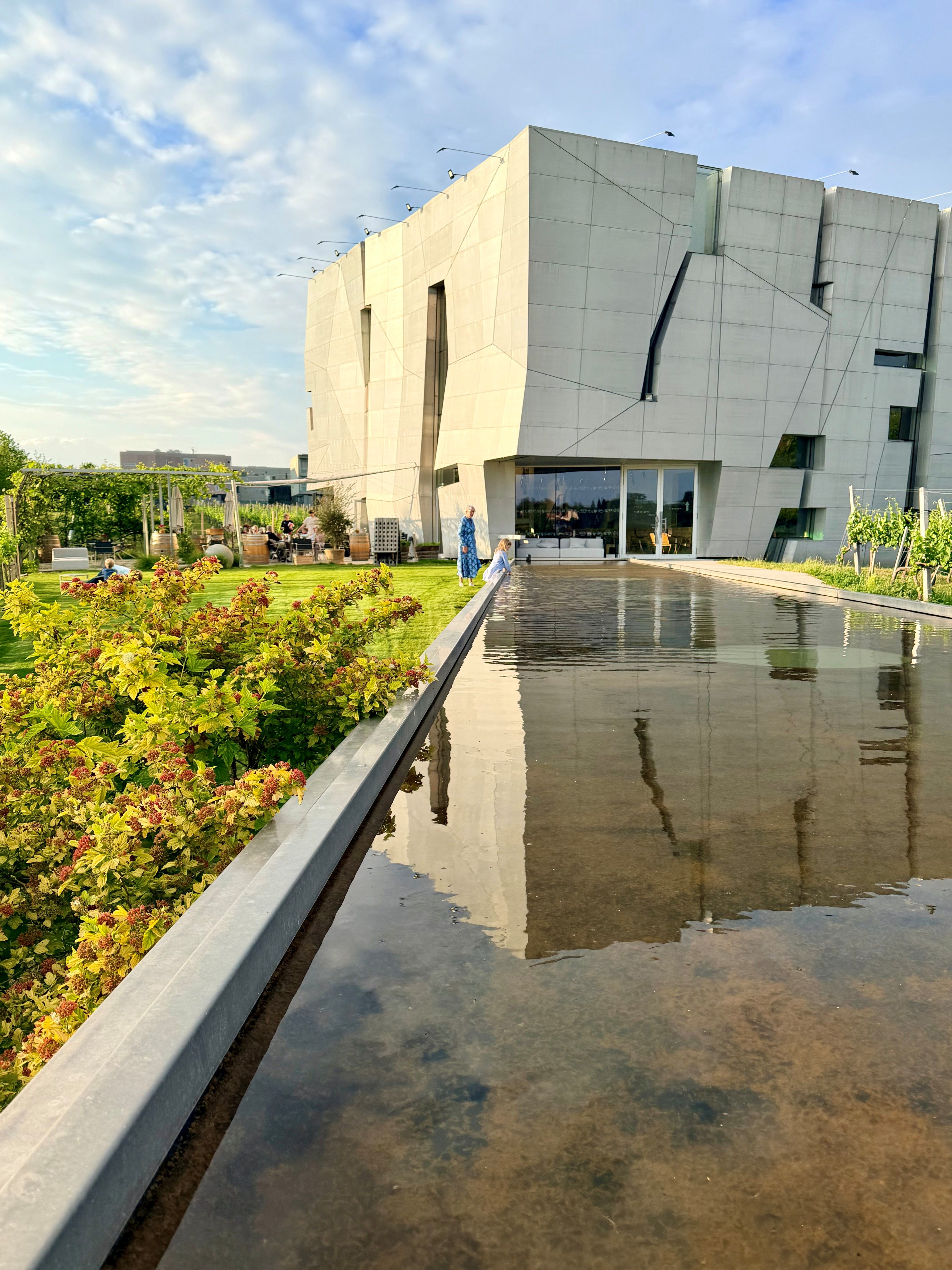 Steininger Weinwelt_Exteriér s odrazom vo vode_štvorcový. ©Steininger Weinwelt