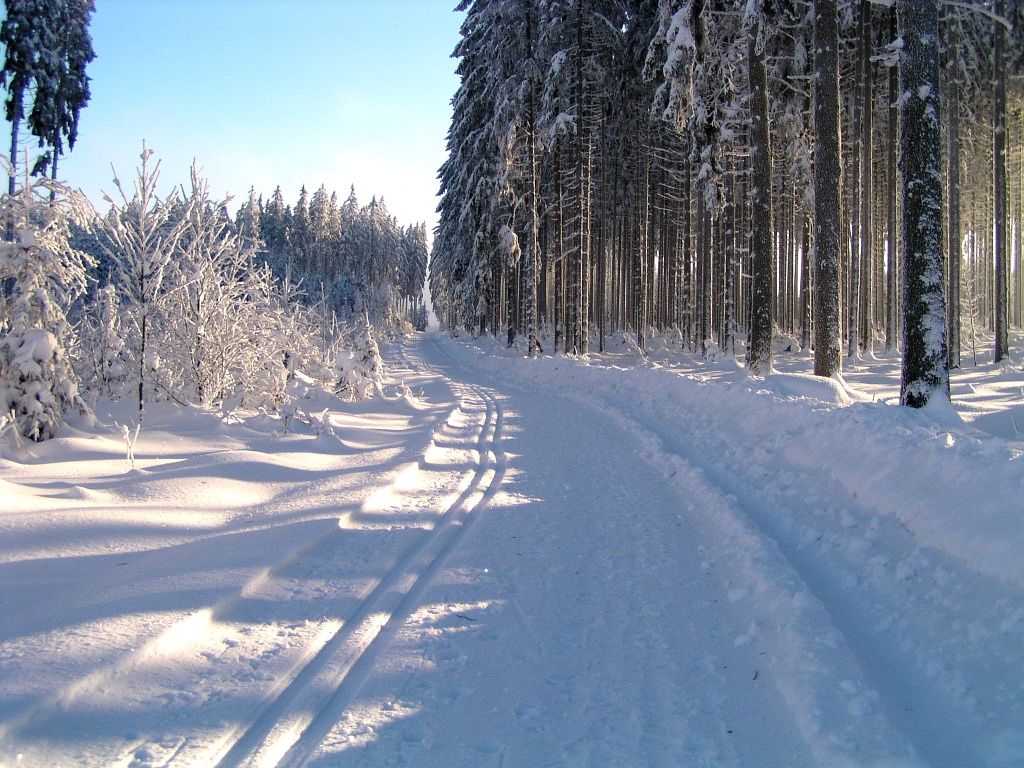 Bežkovanie v Ottenschlagu © Gemeinde Ottenschlag