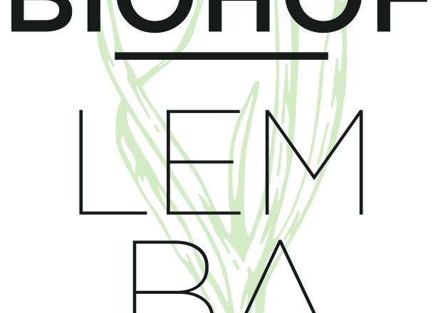 Lembacher company logo, &copy; Ursula Lembacher