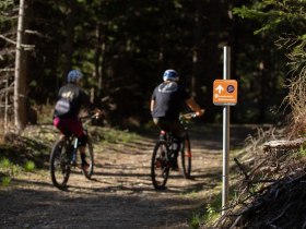 Herrgottschnitzer Route Uphill, © Wexl Trails