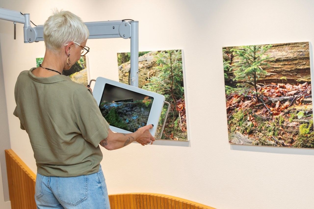 hdw-ausstellung8