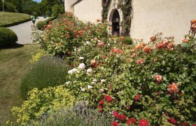 Numerous rose varieties can be discovered at Rosenburg Castle, © Lichtstark
