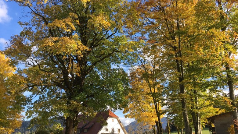 Vacation cottage Hinterbreiteneben, © Johannes Hoyos