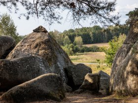 Naturpark Blockheide, &copy; Waldviertel Tourismus, Erwin Haiden