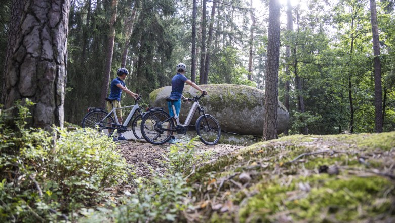 Viklany v Blockheide Gmünd, © Naturparke Niederösterreich/Robert Herbst