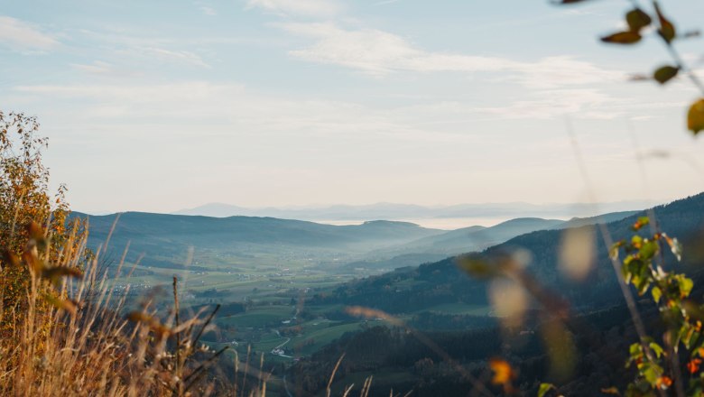 View into the Yspertal, © Waldviertel Tourismus, Line Sulzbacher