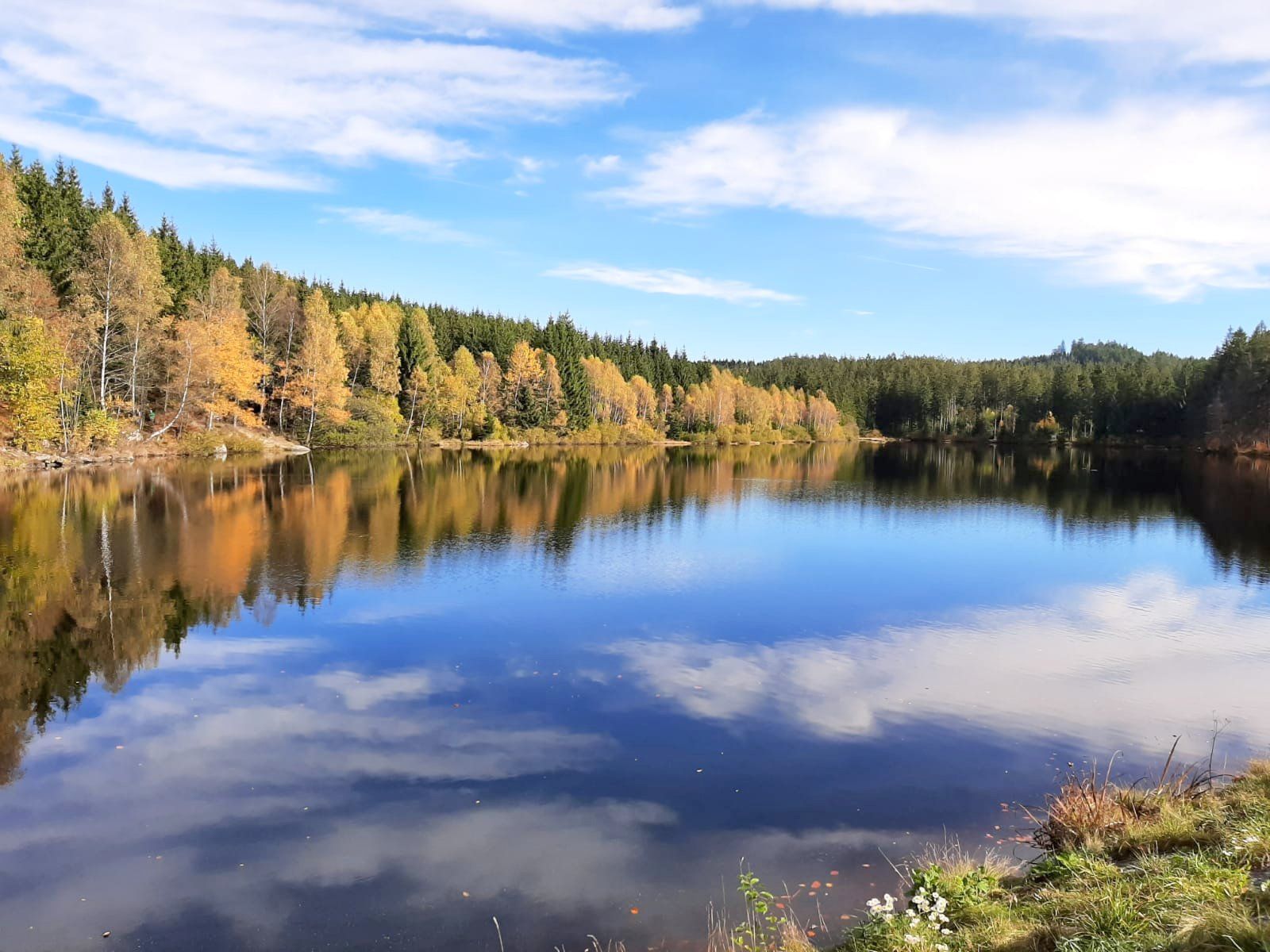 Rybník Schlesinger