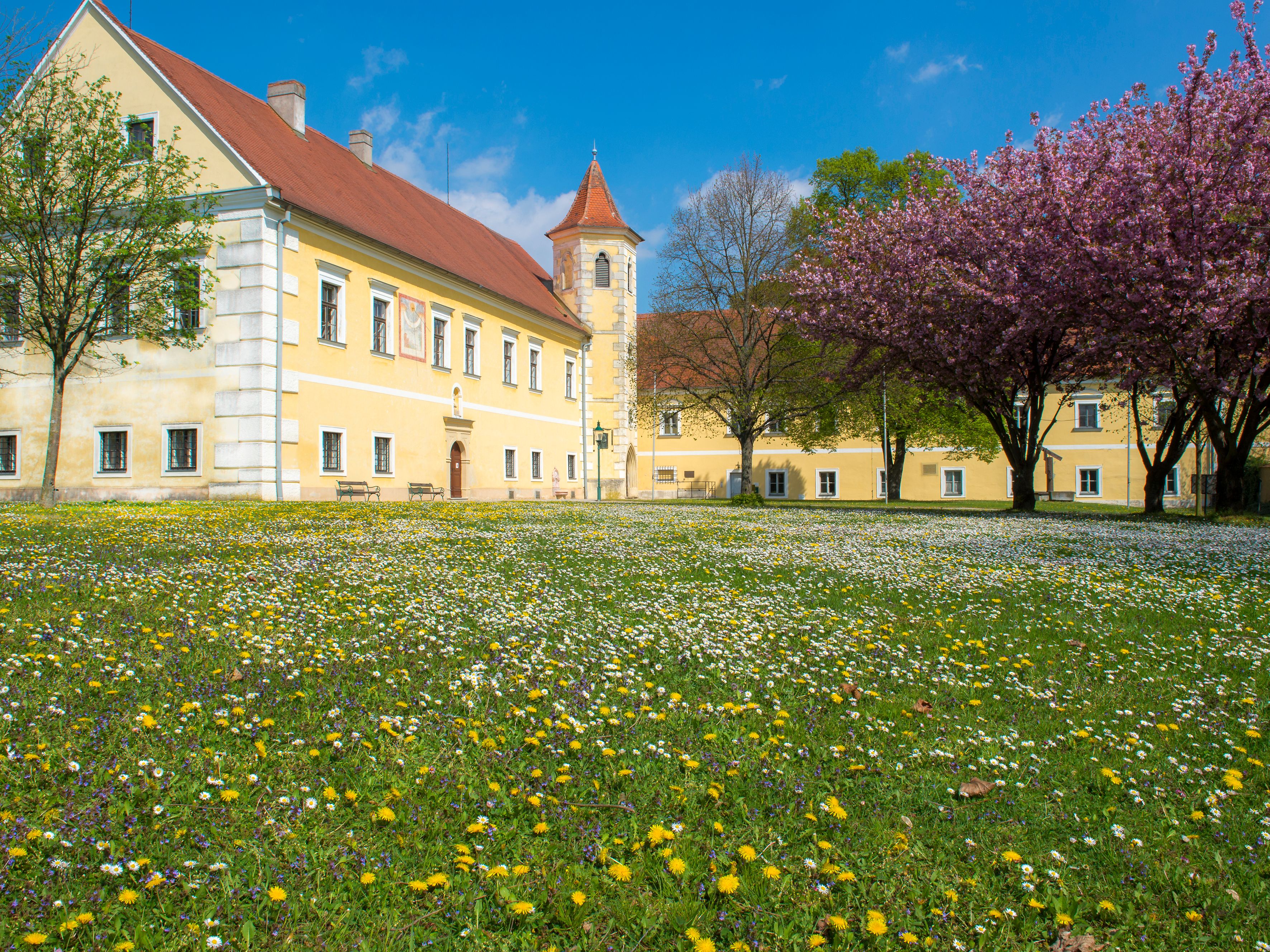 Zámok Atzenbrugg s kvitnúcimi stromami a lúkou v popredí.