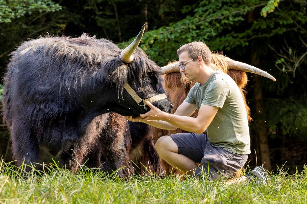 Craftbeef od Brandstatten