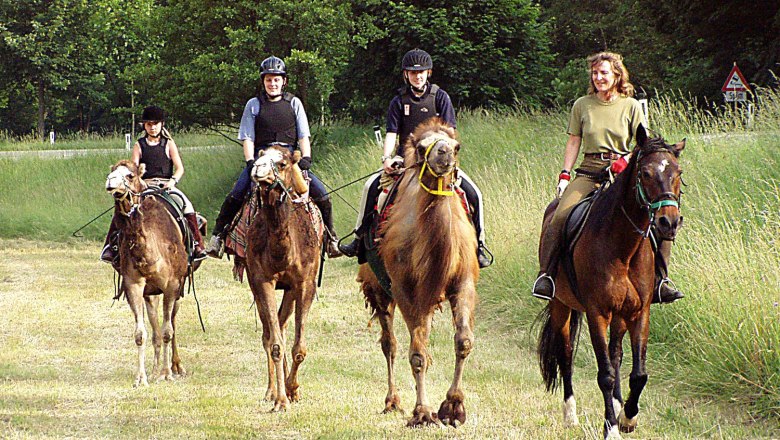 1st Austrian Camel Riding School, © 1. Österreichische Kamelreitschule