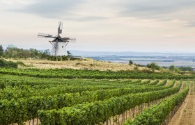 Veterný mlyn v Retzi vo Weinviertel, © Niederösterreich-Werbung/ M. Liebert