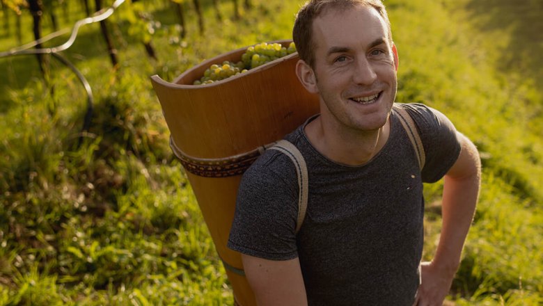 Viticulture Matthias P&ouml;chlinger, &copy; Weinbau Matthias P&ouml;chlinger