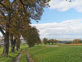Pieskov&aacute; dr&aacute;ha, &copy; Brigitte Hofschwaiger