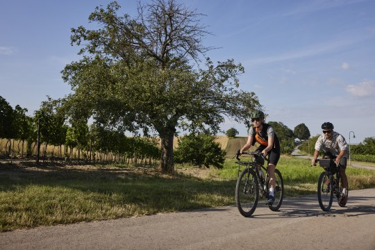 Život je ako bicyklovanie. Neprestávajte šliapať do pedálov, © Stefan Mayerhofer