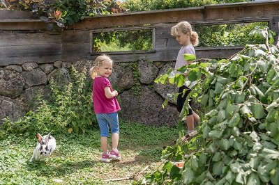 Stroking rabbits in the outdoor enclosure, &copy; Einkehrhof Poggau