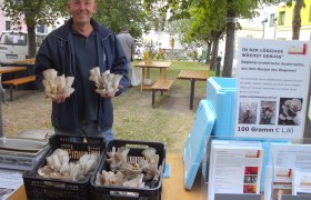 wag_lossiade-austernpilze-herr-schmit_c_martin-schmit, &copy; martin schmit