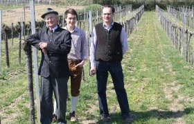 Viticulture Walter Polsterer, &copy; Walter Polsterer