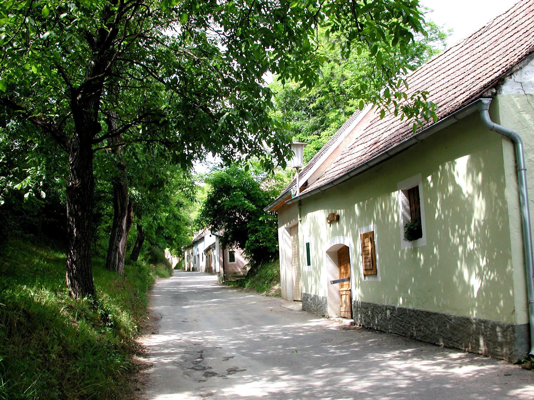 Úzka ulica v Vínnej uličke so stromami a starými budovami.