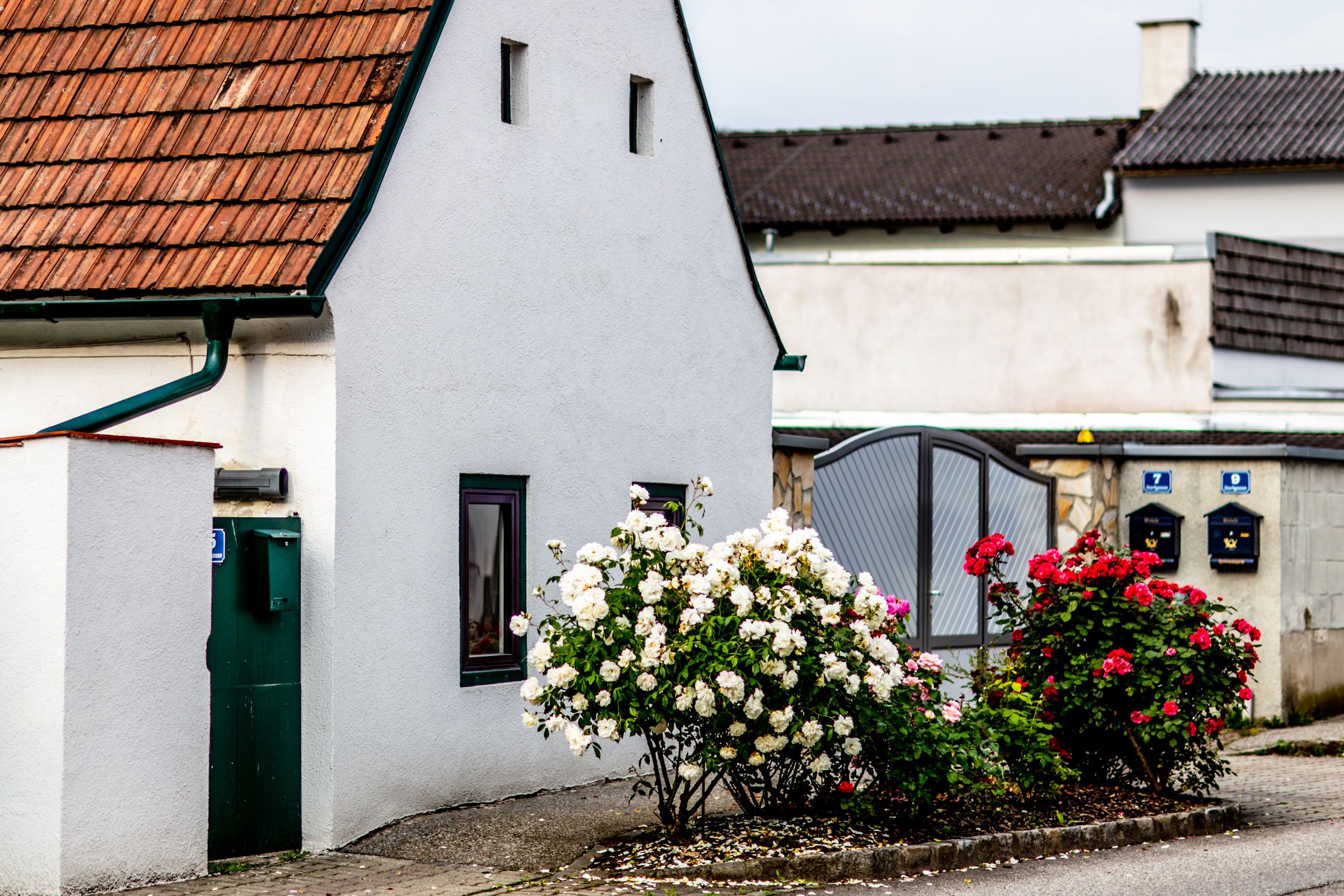 Starý biely dom s ružami v popredí