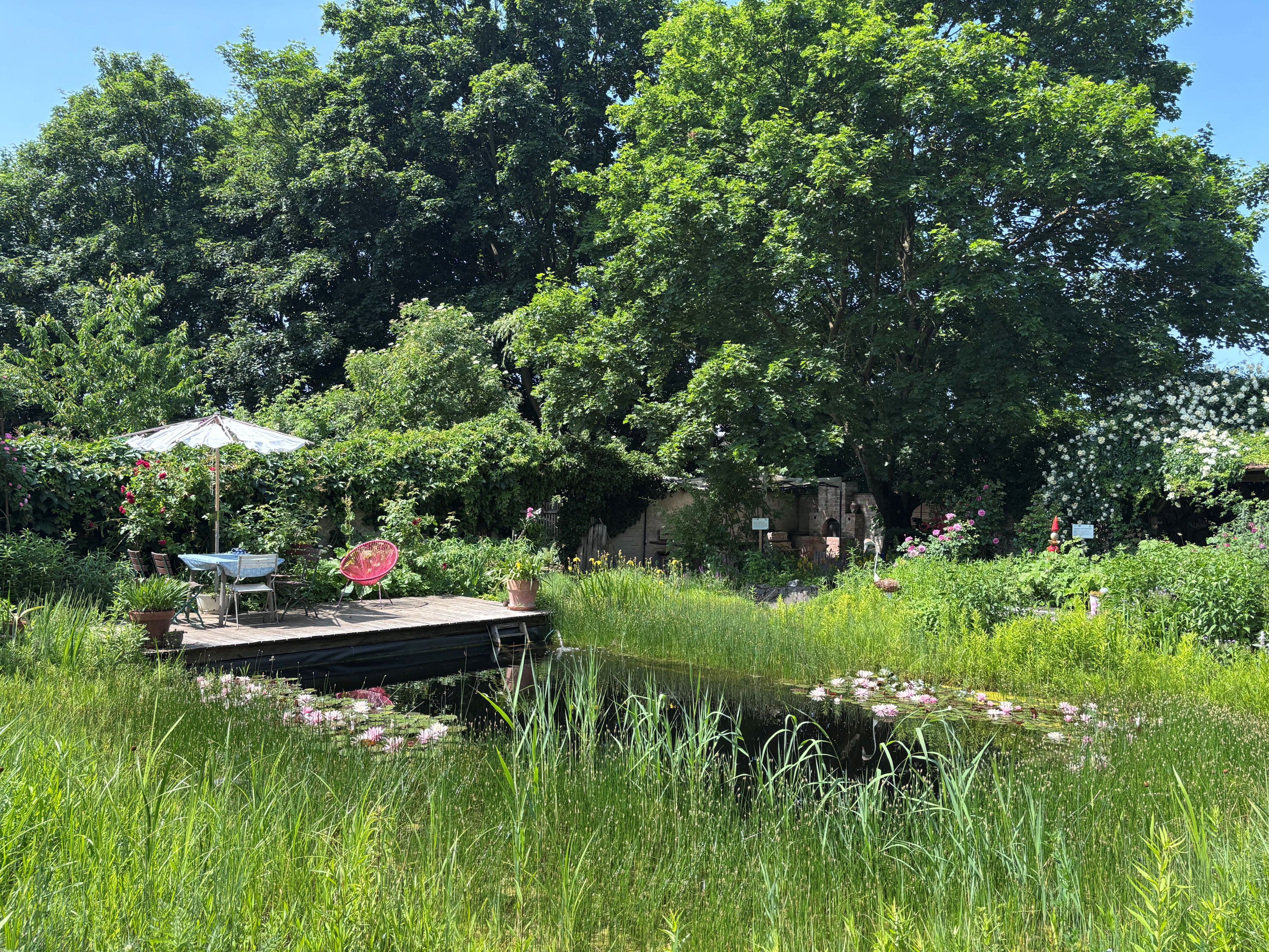 Idylická záhrada s jazierkom, drevenou terasou, stolom a stoličkami pod slnečníkom, obklopená bujnou vegetáciou a stromami.