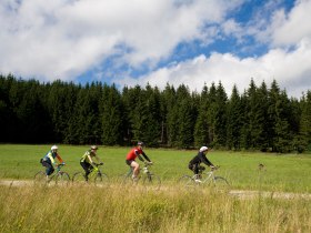 MTB Waldviertel, &copy; Waldviertel Tourismus