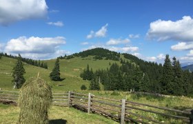 Umgebung St. Aegyd am Neuwalde, &copy; Riedler