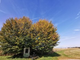 Kaplnka pri ceste Pratsturm, &copy; Brigitte Hofschwaiger