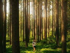 Thayatalweg 630, Weg entlang der Lainsitz, © Waldviertel Tourismus, Melanie Többe