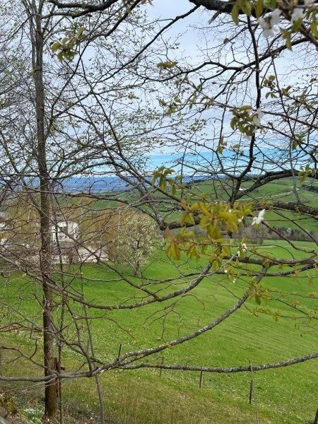 Pohľad na St. Leonhard am Walde na jar