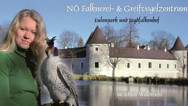 Dolnorakúske centrum sokoliarstva a dravých vtákov, © NÖ Falknerei- und Greifvogelzentrum