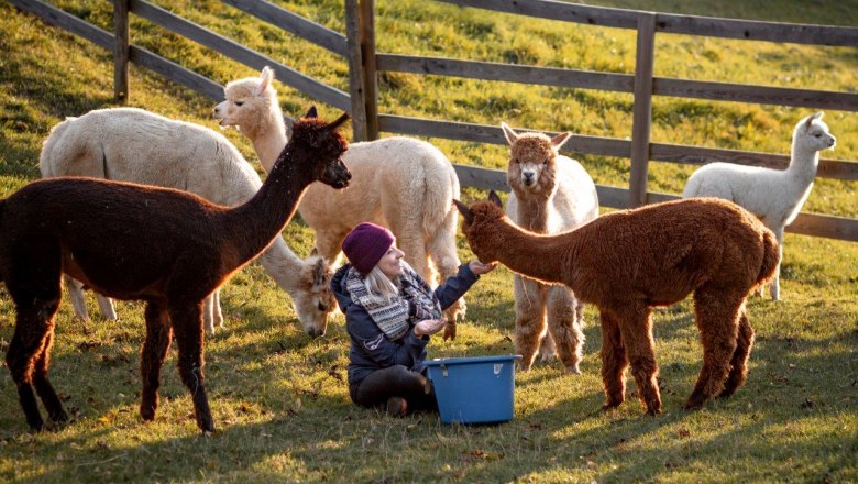 Alpacas on the farm, &copy; Wagner-Hubbauer