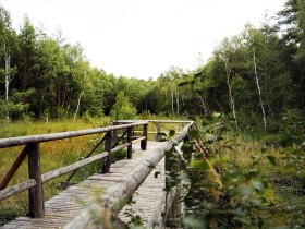 Pr&uuml;gelsteg, Natur, &copy; Waldviertel Tourismus, weinfranz