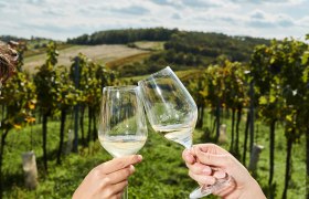 Toasting in the vineyard, © Weinviertel Tourismus / Michael Liebert